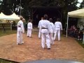 PSV Gladbeck Taekwondo Demo Auftritt KGV ...