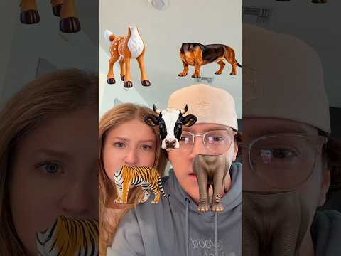 Can you match the ANIMAL? 👀