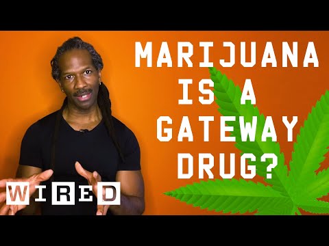 Dr. Carl Hart Debunks Drug Myths | WIRED