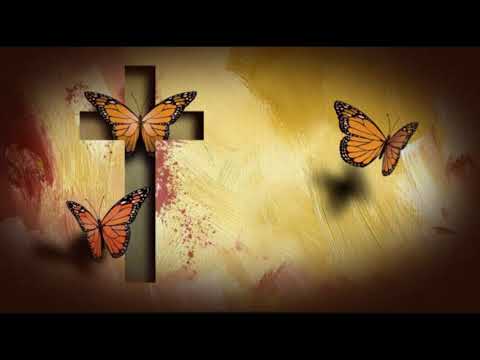 DÉJAME NACER DE NUEVO - COVER MARYLUNA