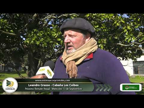 Leandro Grasso - Cabaña Los Ceibos - Próximo remate Miércoles 13 de Septiembre