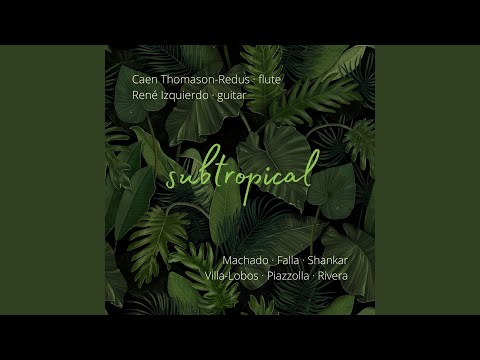 Musiques Populaires Brésiliennes: V. Sambossa