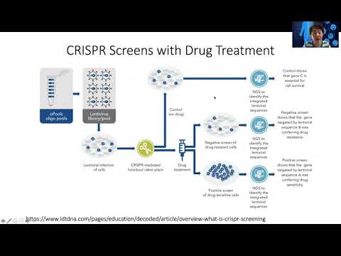 STAT115 Chapter 28.3 Cancer Cell Vulnerability from CRISPR Screens
