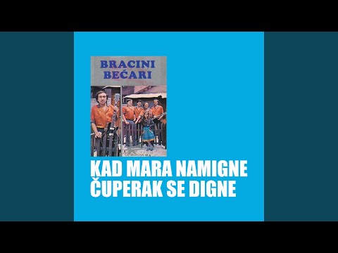 Hoce dasa curu iz oglasa