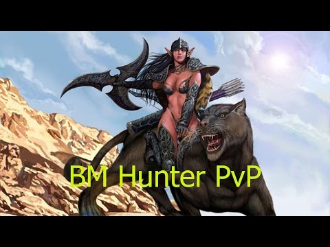 5.4.8 BM Hunter PvP - Sexy Pets - Patch 5.4