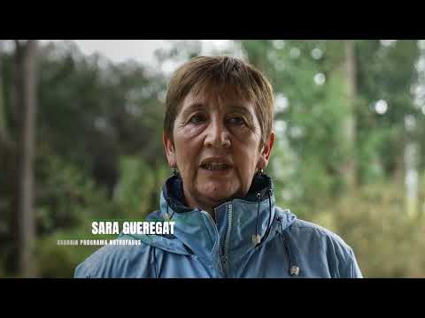 PROGRAMA NOTHOFAGUS: Sara Gueregat, usuaria en Máfil, Región de Los Ríos, Chile