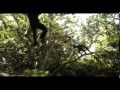 The Jungle Book 2016 Tv Spot 20 No Voice