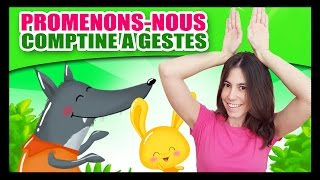 Promenons-nous dans les bois - Comptines à gestes pour bébés - Titounis