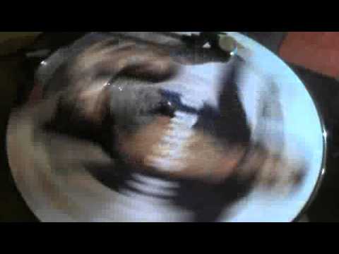 Motorhead With Ice-T And Whitfield Crane ‎-- Born To Raise Hell (Album Version)