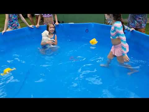 Cachorro nadando na piscina