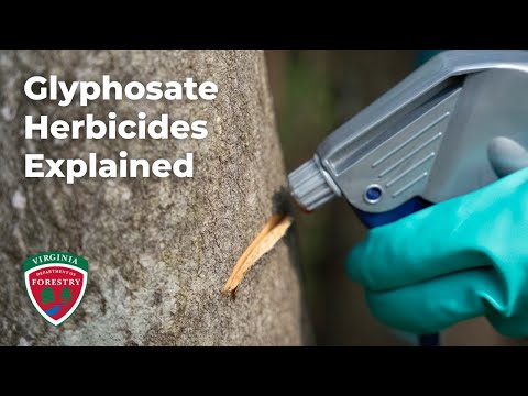 Glyphosate Herbicides Explained