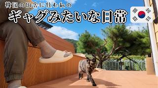 【日韓夫婦】 嘘つきでだらしない日本人妻...?(＾ｰ^)