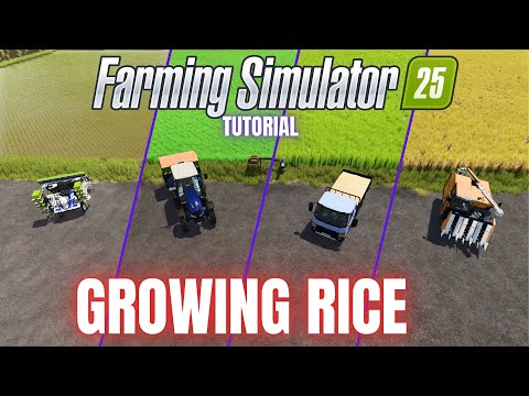 GROWING RICE - TUTORIAL - Farming Simulator 25