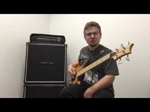 Tech 21 dUg Ultra Bass 1000 clean tone