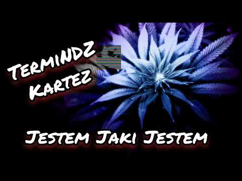 TermiNDZ ft. Kartez - Jestem Jaki Jestem