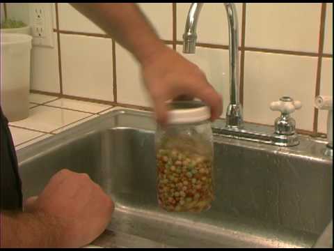 download lagu mp3 mp4 Bean Sprouting Jar, download lagu Bean Sprouting Jar gratis, unduh video klip Bean Sprouting Jar