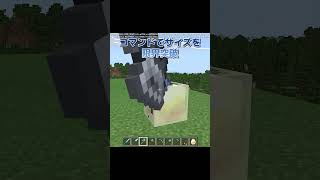 これ、アクセサリーに見える人、挙手  【マイクラ統合版／コマンド】#shorts