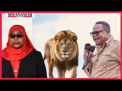 Lissu afunguka Rais Samia kumpa simba jina lake