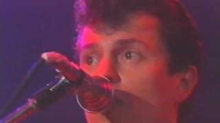 Spider Murphy Gang - Schickeria - live - 1982