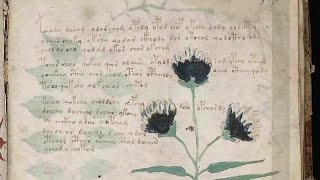 Misterios del mundo: El manuscrito Voynich (Loquendo)