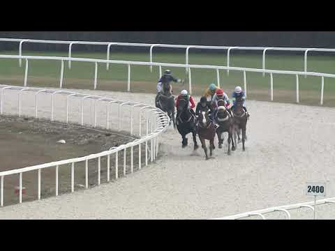 2020.12.13. 04. futam - ÁSZÁRI DÍJ (I.kat.) (szintetikus pálya)