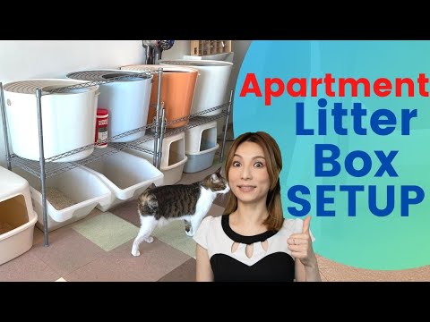YouTube video about: Where to put a litter box in a small apartment?