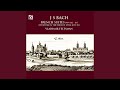 French Suite No. 1 in D Minor, BWV 812: IV. Menuet I