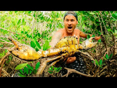 24 Stunden in einem Mangrovenwald überleben