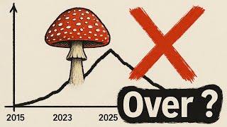 Download lagu The End of the Mushroom Boom on YouTube... mp3