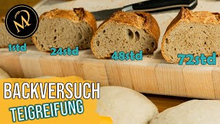 Perfekte Garstufe   Über- und Untergare erkennen I Brotfehler Back - Academy neuer Kurs