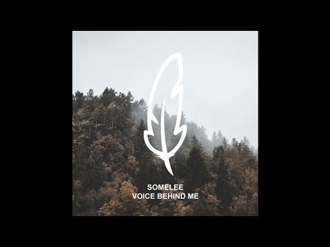 Somelee - Hidden Catch