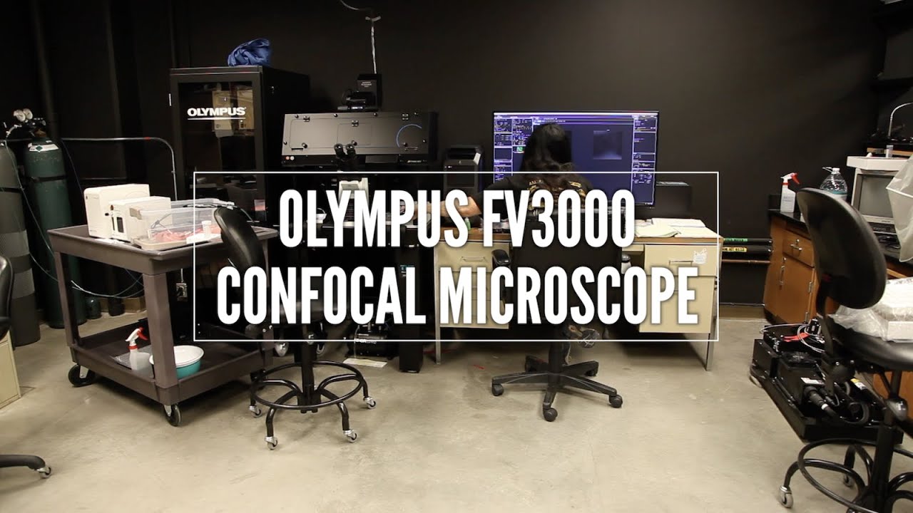New Confocal Microscope at UH Biology and Biochemistry Imaging Core (BBIC)
