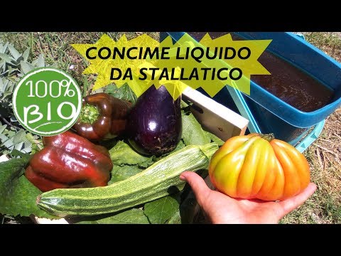 I principi di artroplastica totale dellanca Fisioterapia con displasia