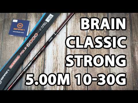 Махове вудлище Brain Classic Strong 5.00m 10-30g (телескопічне, без кілець) + чохол