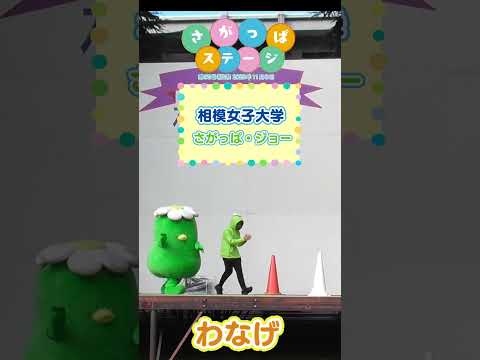 【相模女子大学】相生祭さがっぱステージ _わなげチャレンジ 　#さがじょ #学園祭　#キャラクター