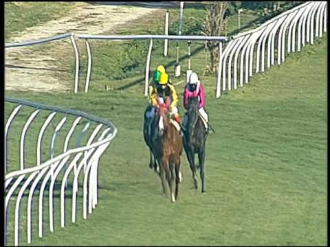 Galoppo 07/01/2017 - 1ª corsa