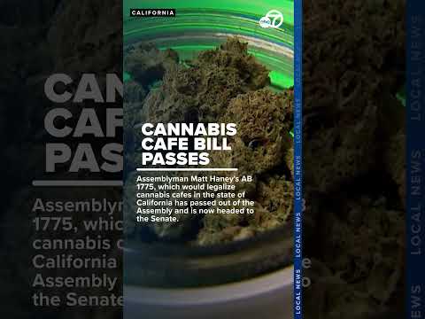 California Assembly passes AB 1775 to legalize cannabis cafes, heads to Senate