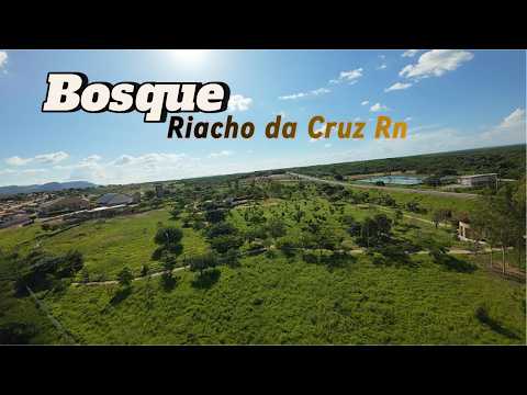Explorando o Bosque de Riacho da Cruz RN 🌿 #voo  #fpvdrone  #cinematográfico  #avata2