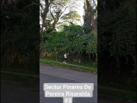 Sector De Pinares De Pereira Risaralda #3