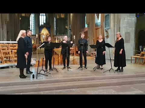 Ad Fontes Linköpings Domkyrka