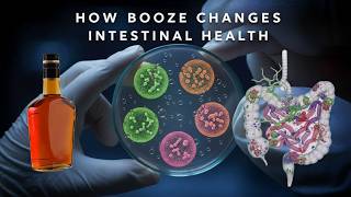 Download the video "The Truth About Alcohol and Gut Microbiome"
