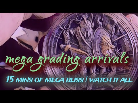 15 minutes of grading arrival bliss | let's see what NGC makes of this lot