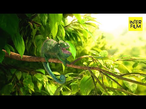 Crazy funny animal - CGI Short Film "Our wonderful nature - The common chameleon - by Tomer Eshed