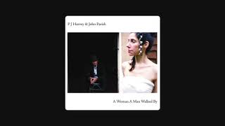 PJ Harvey &amp; John Parish -  Cracks In The Canvas