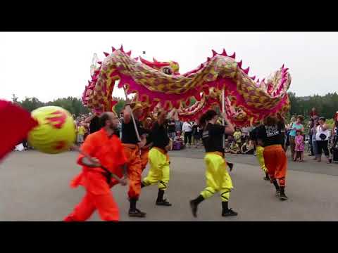 Video: Edmonton Dragon Boat Festival