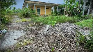 Satisfying Overgrown Building Cleanup | Cutting Tall Grass & Yard Transformation