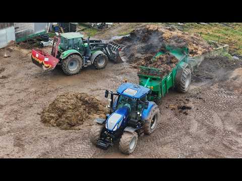 Spreading manure on catch crops | New Holland T7.270 + Tebbe MS140 | South eifel 2025
