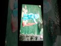 حديقة المرح نوم جوجو في السرير