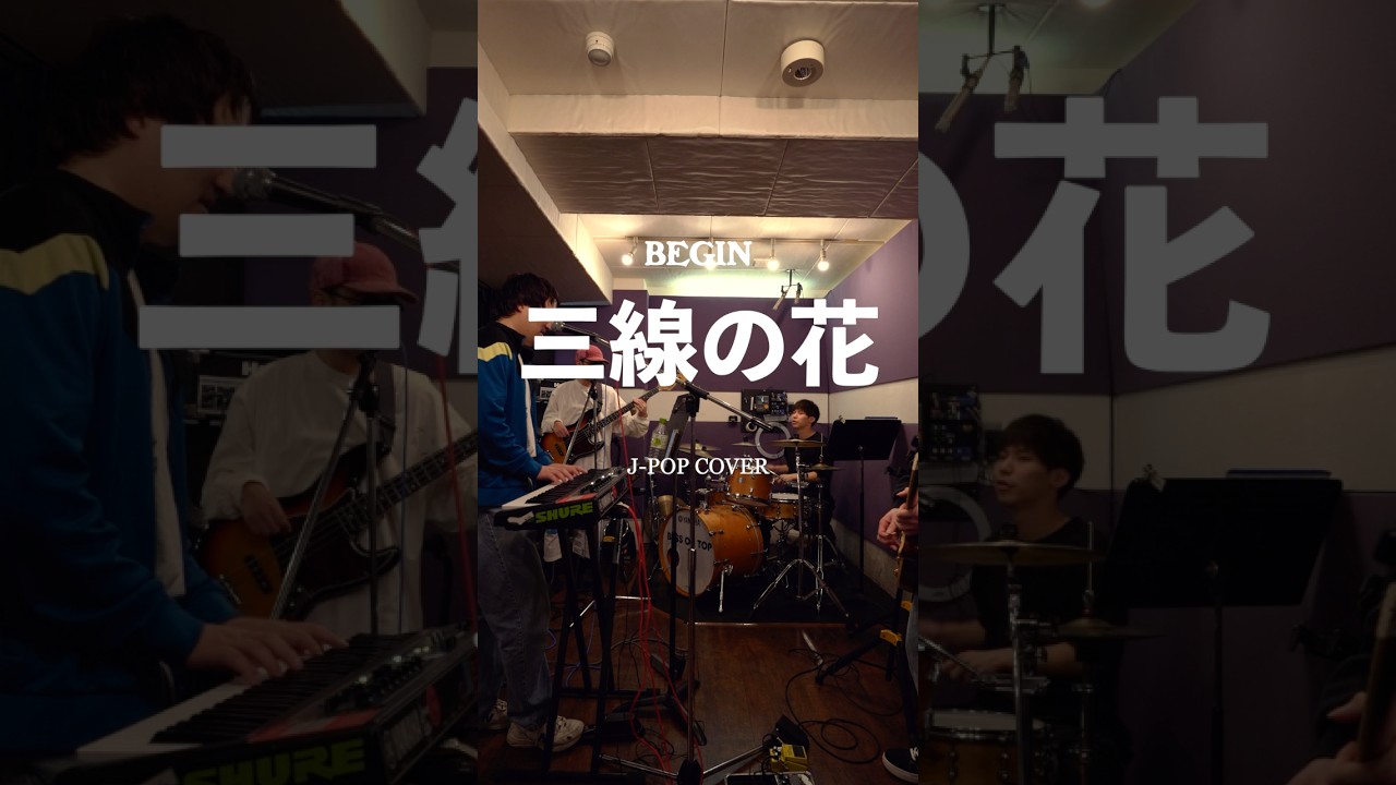 BEGINが贈る沖縄の情緒溢れる美しい曲。 #shorts #begin #三線の花 #沖縄 #三線