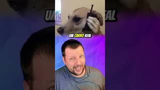 O cara que trollou a polícia com neve!